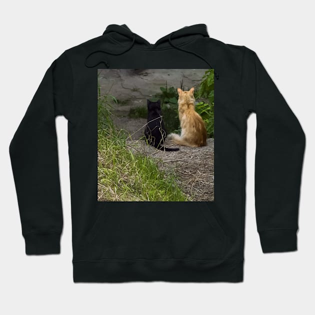 Ginger and black cats sit side by side in the grass and look from the stairs. View from the back Hoodie by EvgeniiV